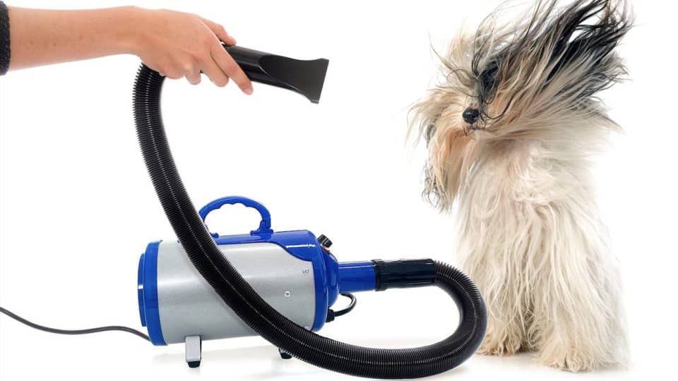 Pet Dryer