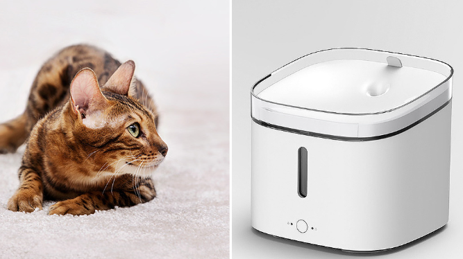 Intelligent Pet Water Dispenser
