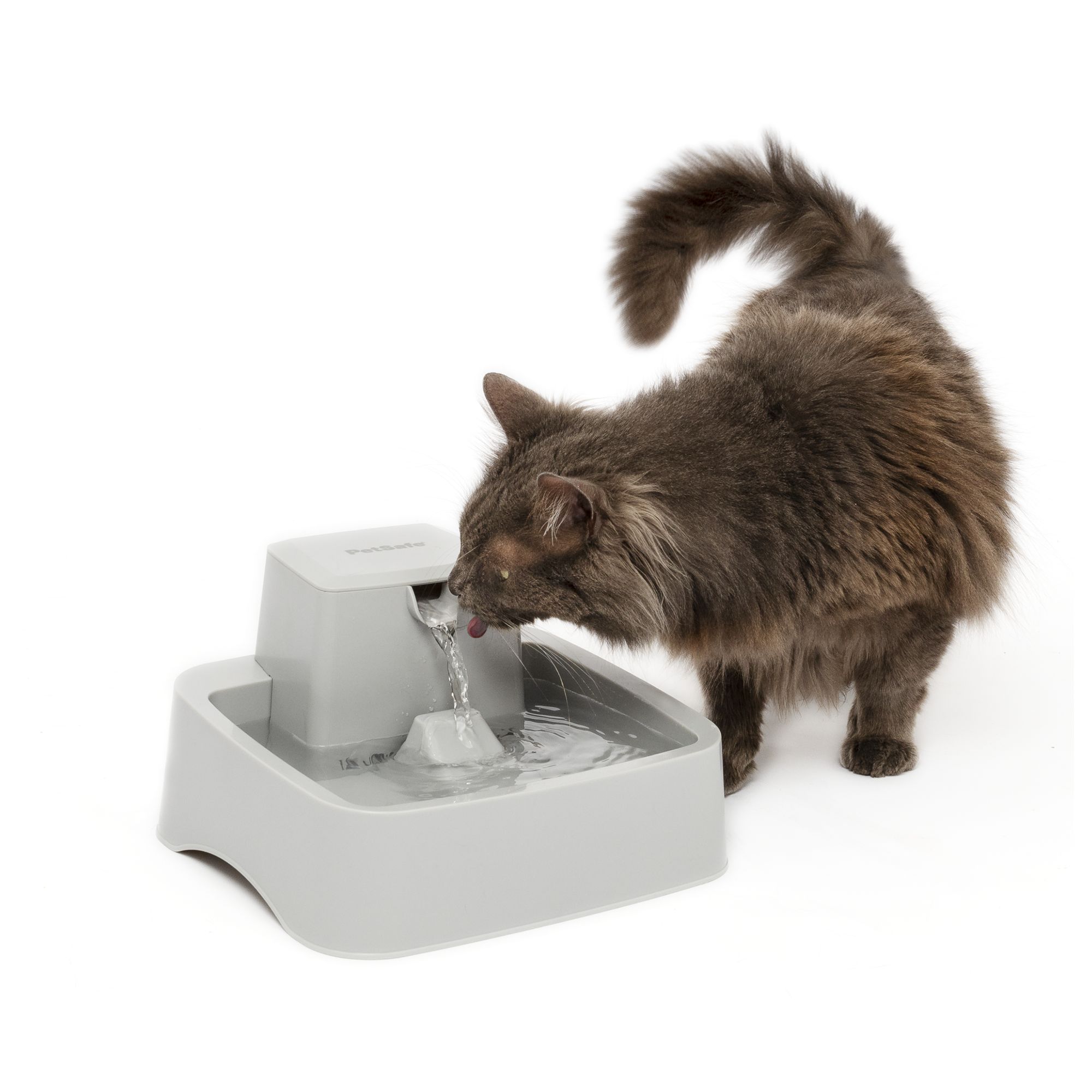 Intelligent Pet Water Dispenser